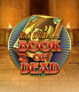 Enter the thrilling world of Book of Dead Slot by Play'n GO, featuring vivid graphics of Rich Wilde’s adventurous journey through ancient Egyptian tombs and artifacts. Uncover lost riches with engaging mechanics like free spins, expanding symbols, and a gamble option. Ideal for adventure seekers with a desire for unearthing secrets.